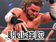 ����ְҵˤ��(wwe)(WWE Raw)��Ϸ����