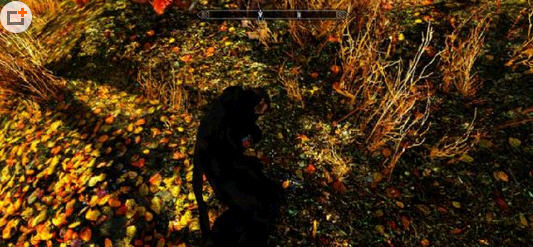 上古卷轴5原地睡觉MOD 汉化版下载_存档MO