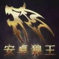 狼王4.0授权码生成器 手机免费版