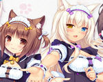ܳènekopara vol2