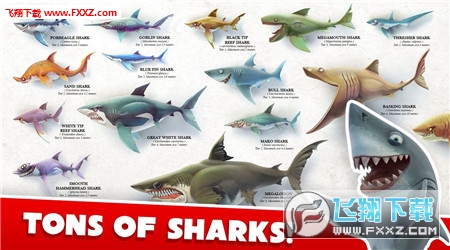 饥饿鲨世界3d破解版中文版下载|饥饿鲨世界3d