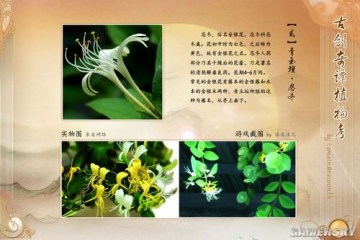 �����ǿ�