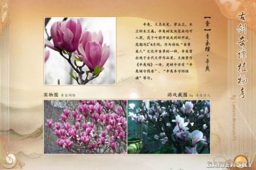 �����ǿ�