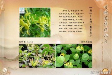 �����ǿ�