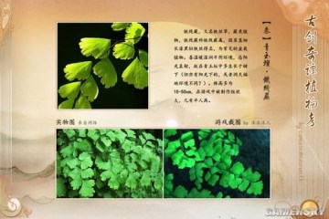 �����ǿ�