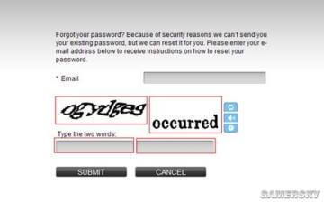 �����ǿ�_