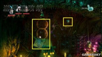 �����ǿ�