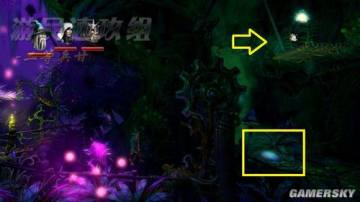 �����ǿ�