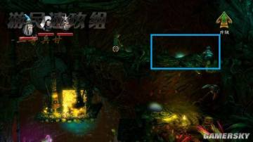 �����ǿ�