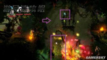 �����ǿ�