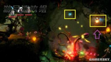 �����ǿ�