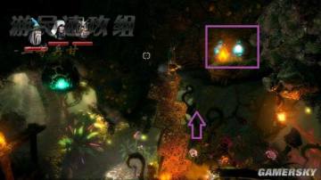 �����ǿ�