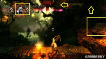 �����ǿ�