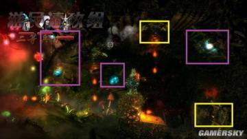 �����ǿ�