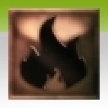 �����ǿ�