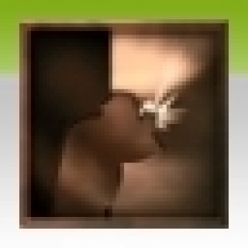 �����ǿ�