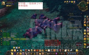 ����鿴��ͼ