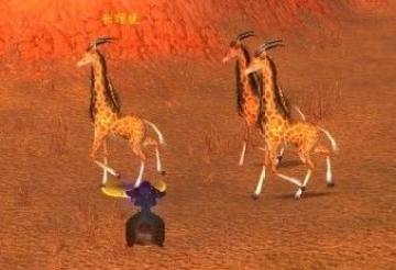 宠物对战:斑纹长颈鹿 最高大的小宠物获取方式