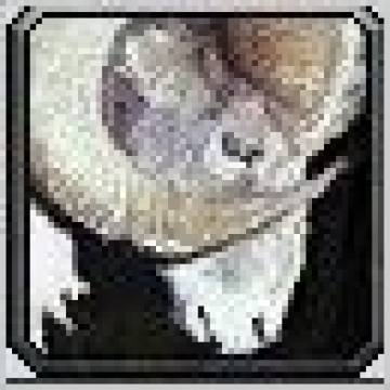 �����ս�����Ƴ���¹ ��ߴ��С�����ȡ��ʽ