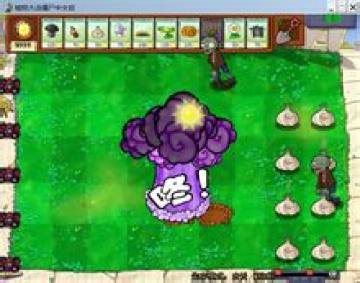 ���𹽵ı�ըЧ��