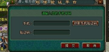 手机关联进行验证