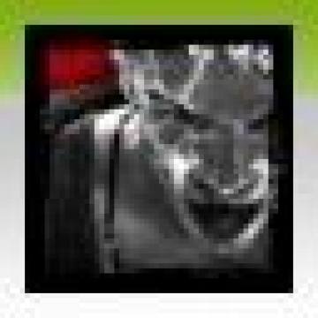 ������5���ɾ��б�