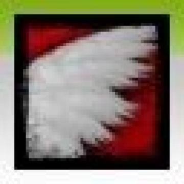 ������5���ɾ��б�