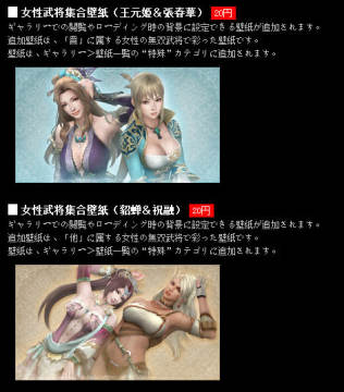 真三国无双7 女性武将特殊dlc壁纸欣赏 飞翔下载