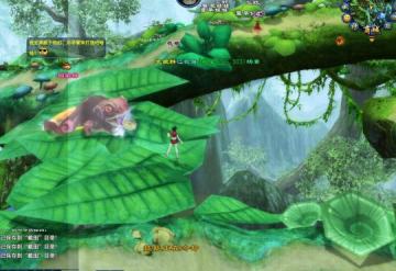 �������淨