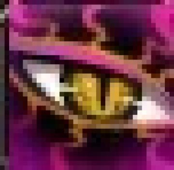 300英雄蛇叔 英雄资料介绍