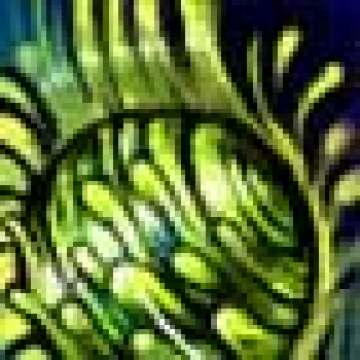 ��Ԩ�޿�E����