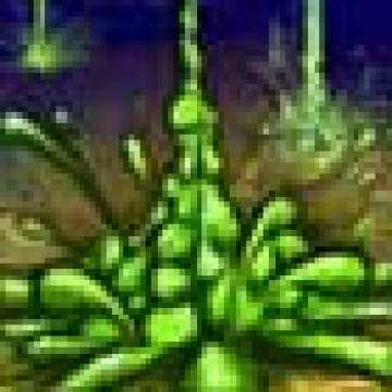 ��Ԩ�޿�R����