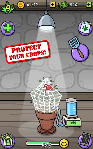 Pot Farm: Grass Roots(rI)؈D0