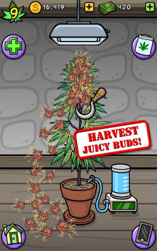 Pot Farm: Grass Roots(rI)؈D3