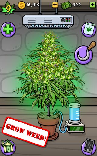 Pot Farm: Grass Roots(rI)؈D2