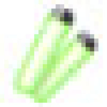 urϕrgԔ