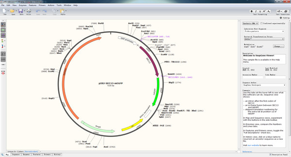 SnapGene Viewer(עļ)ͼ0