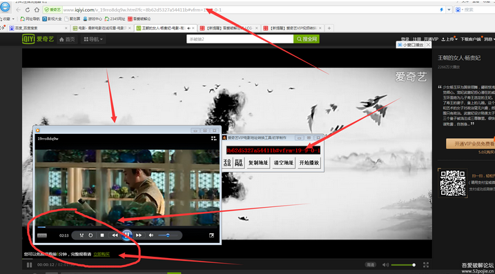爱奇艺VIP视频转换器