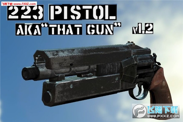 ݗ4PistolɢMOD؈D0