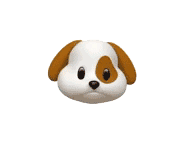 39.gif