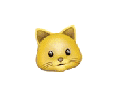 41.gif