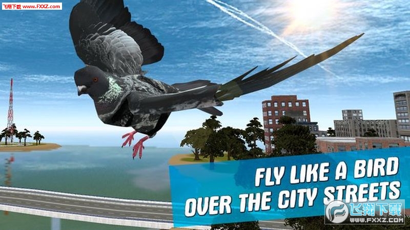 City Bird Pigeon Simulator 3D(֮İ)1.2.0ͼ2