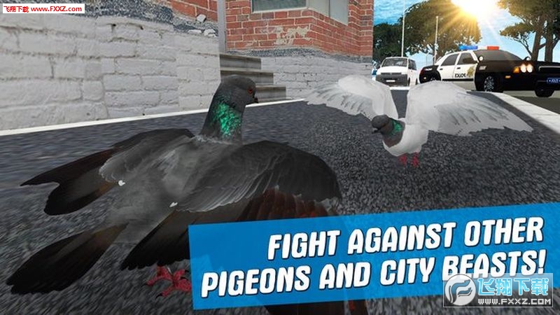 City Bird Pigeon Simulator 3D(֮İ)1.2.0ͼ3