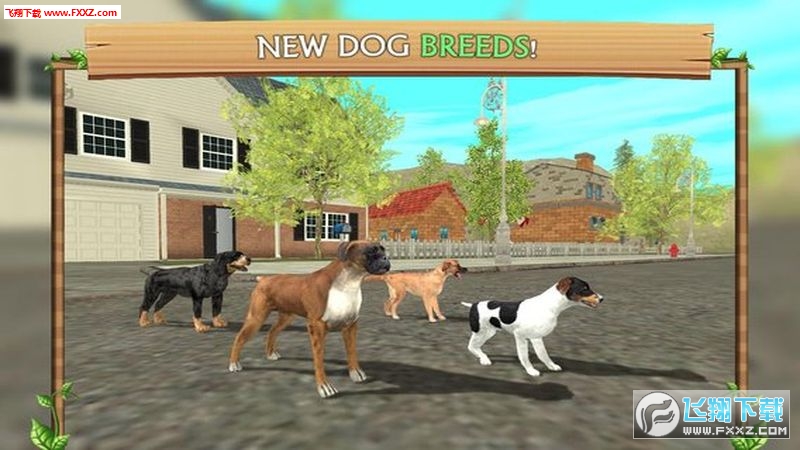 Dog Sim(ģС氲׿)v6.0ͼ1