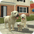 Dog Sim(ģСڹƽ)v6.0