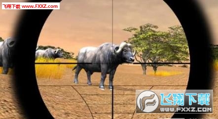 Safari Hunting 4x4(4x4°)1.0.7ͼ3