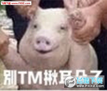 67dd74e0gy1fiw3vt4gbpj20bh09r3z4.jpg