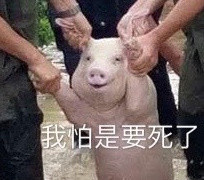 67dd74e0gy1fiw3vu6kqxj205o050q3a.jpg