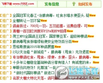 中国信鸽信息网手机版 中国信鸽信息网手机版