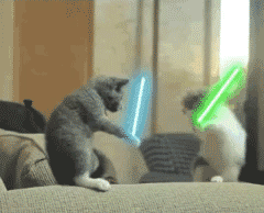 �������Ч���⽣�����GIF